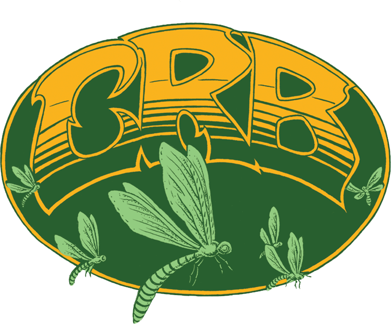 Chris Robinson Brotherhood Shows September 6th 19th - Chris Robinson Brotherhood Logo Clipart (784x650), Png Download