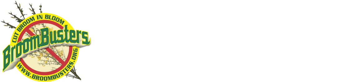 Home - Beige Clipart (1321x270), Png Download