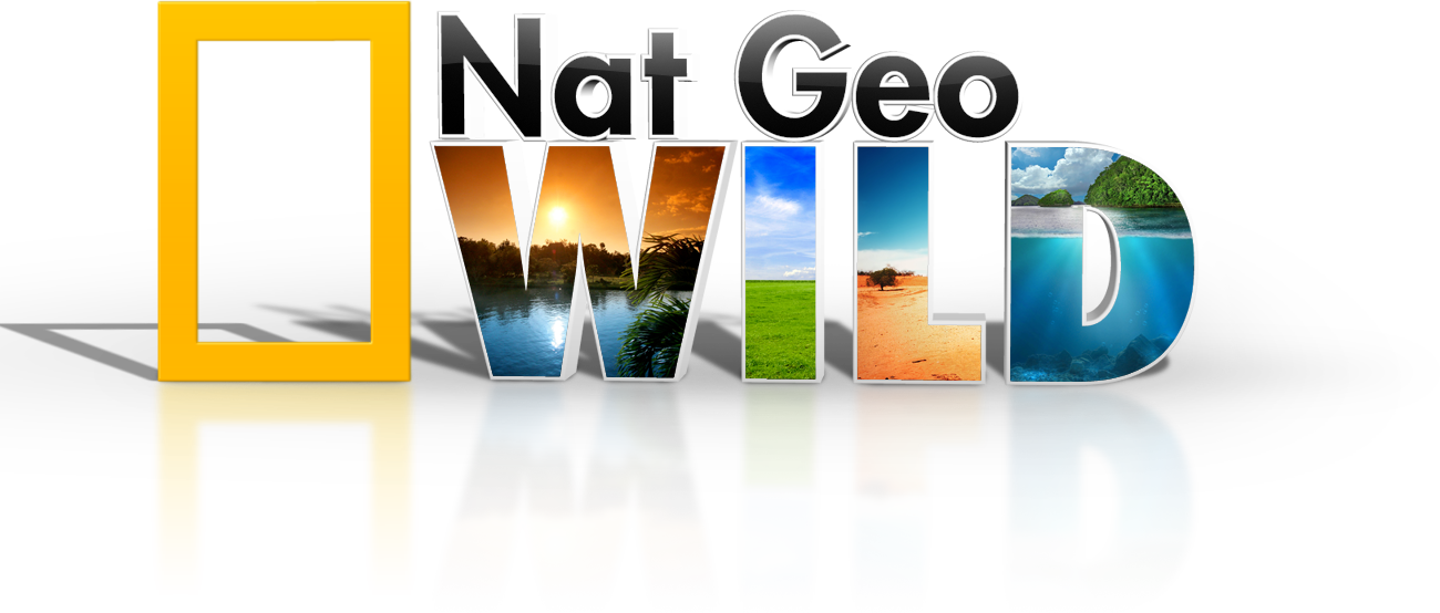 <img - Graphic Design Clipart (1300x554), Png Download