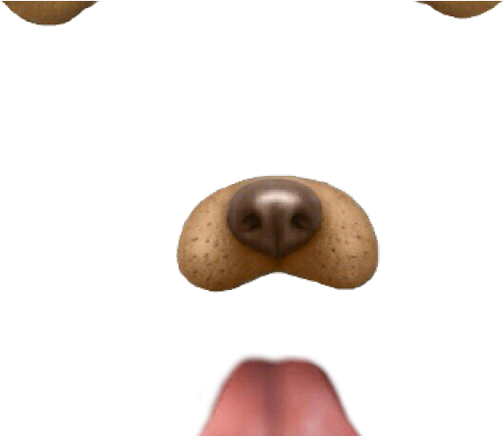Snapchat Filters Clipart Dog - Dog - Png Download (640x480), Png Download
