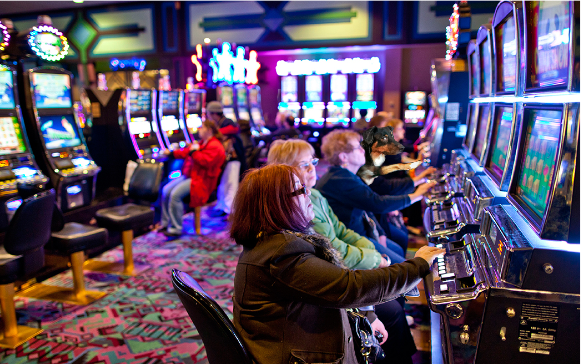 My Buddy Left Me With His Dog, This Was My Snapchat Clipart (2048x1536), Png Download