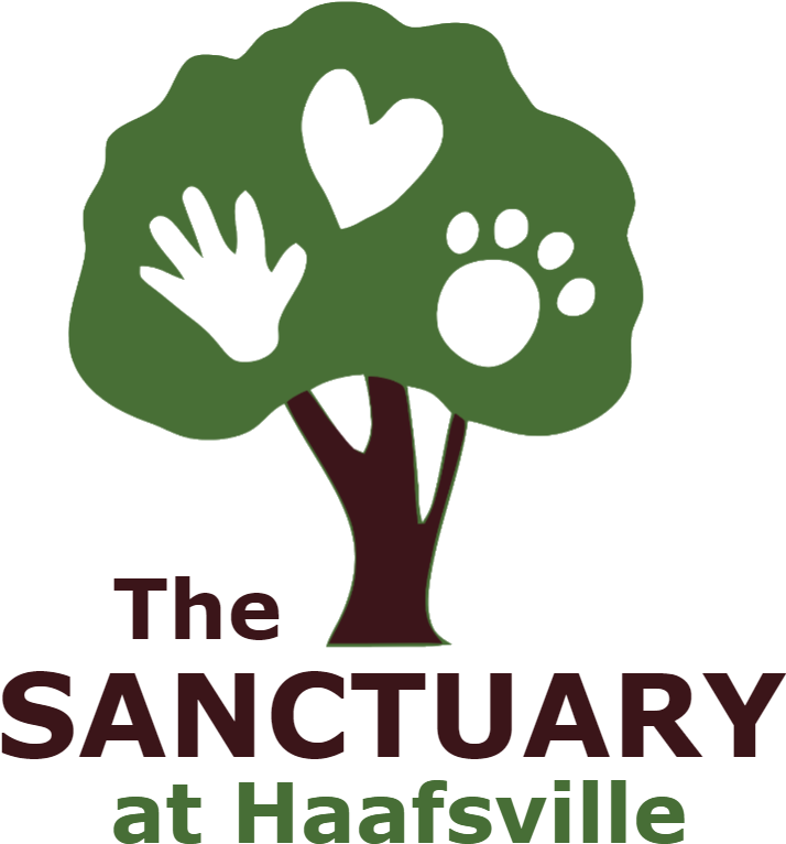 Happy Tails Blog - Sanctuary At Haafsville Clipart (800x800), Png Download