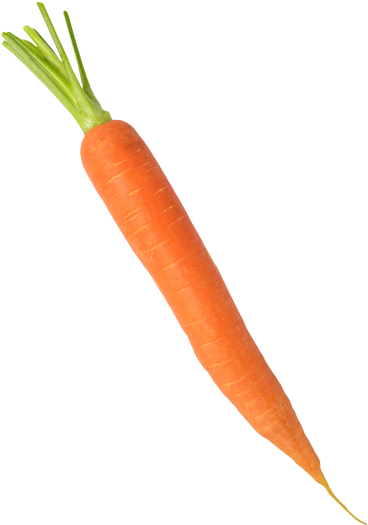 Carrot - Baby Carrot Clipart (866x650), Png Download