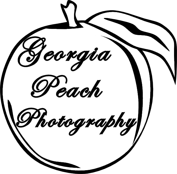 Georgia Peach Photography Clipart (600x590), Png Download