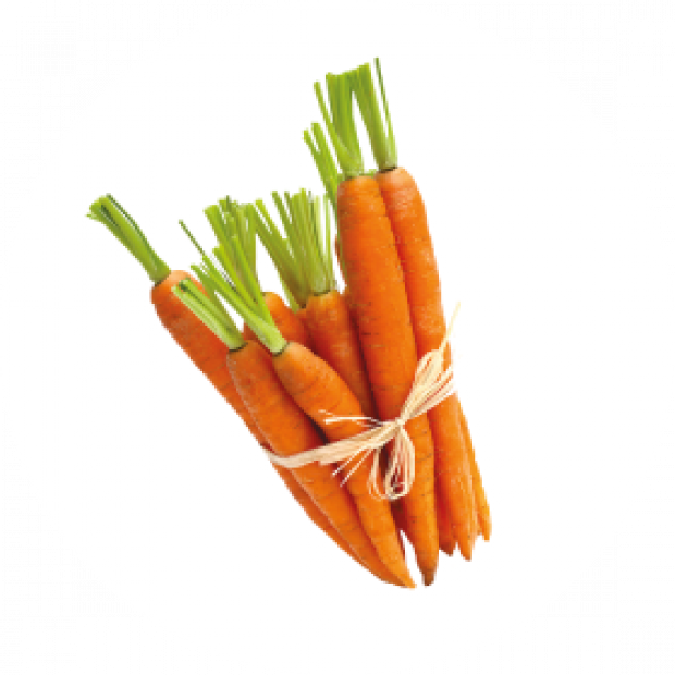 Emma Noël Is - Baby Carrot Clipart (620x620), Png Download