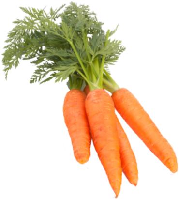 Baby Carrot Clipart (571x544), Png Download
