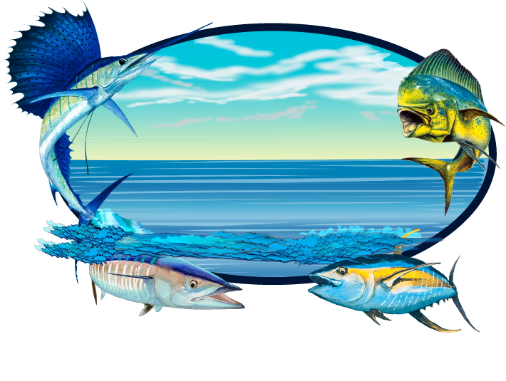 Sailfish Clipart Wahoo , Png Download - Clip Art Transparent Png (710x535), Png Download