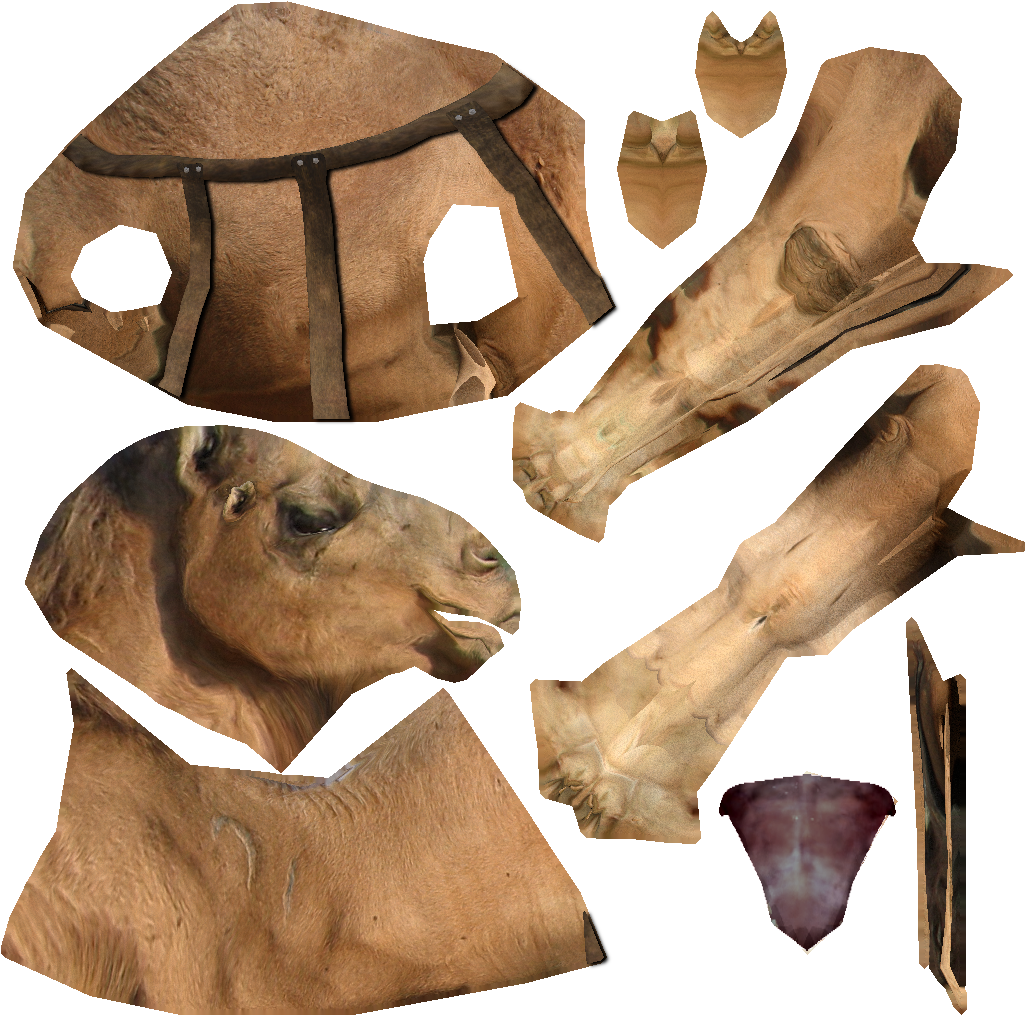 Animal Camel C Belt - Snout Clipart (1024x1024), Png Download