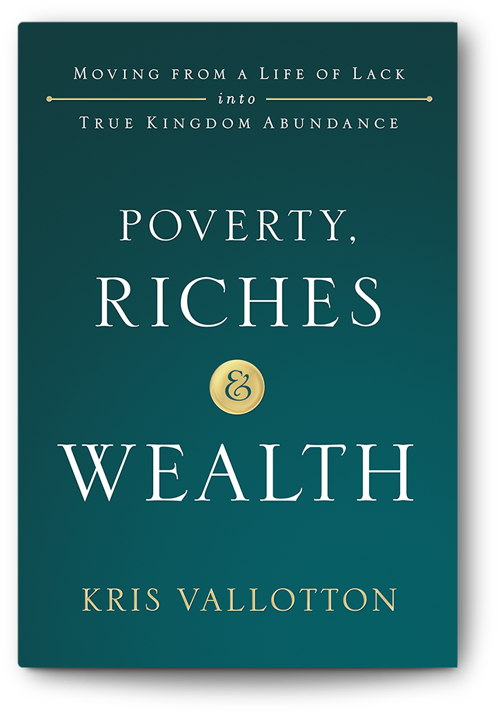 Poverty Riches & Wealth - Tiger's Wife By Tea Obreht Clipart (722x1040), Png Download