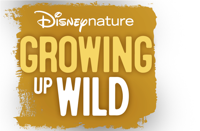 Disney Clipart (1280x544), Png Download