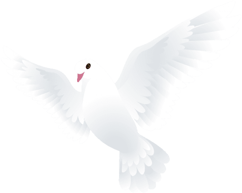 Download Free Png Download Dove Transparent Png Images Background