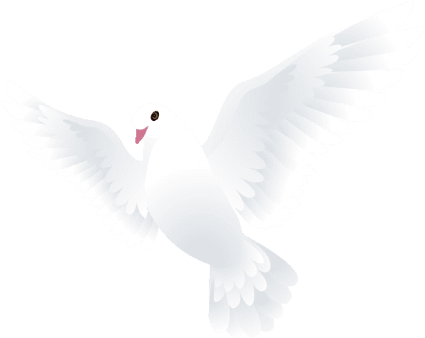 Free Png Download Dove Transparent Png Images Background - Kabutar Png Clipart (850x676), Png Download