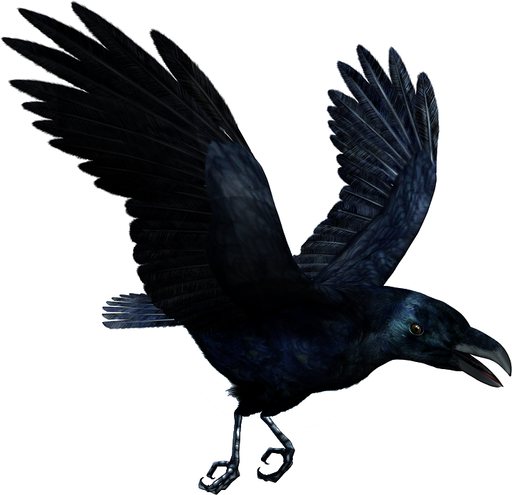 Raven Flying Png Hd - Mc Ride Death Tattoo Clipart (900x861), Png Download
