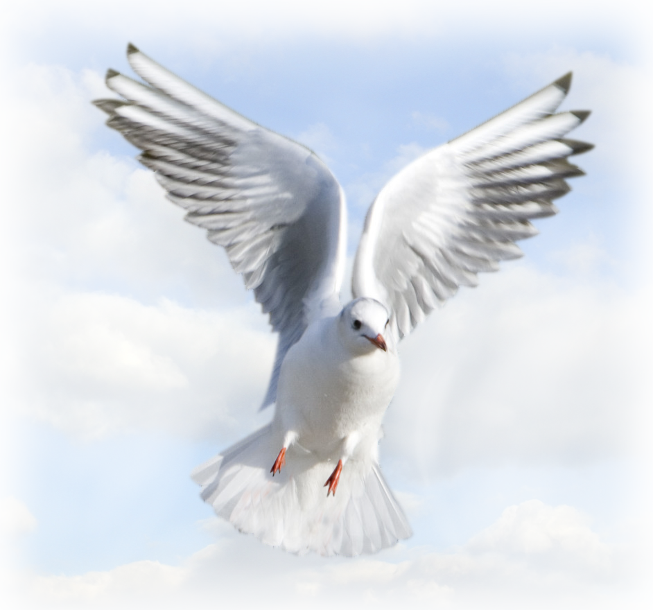 Png Holy Spirit - Animated Holy Spirit Dove Png Clipart (942x880), Png Download
