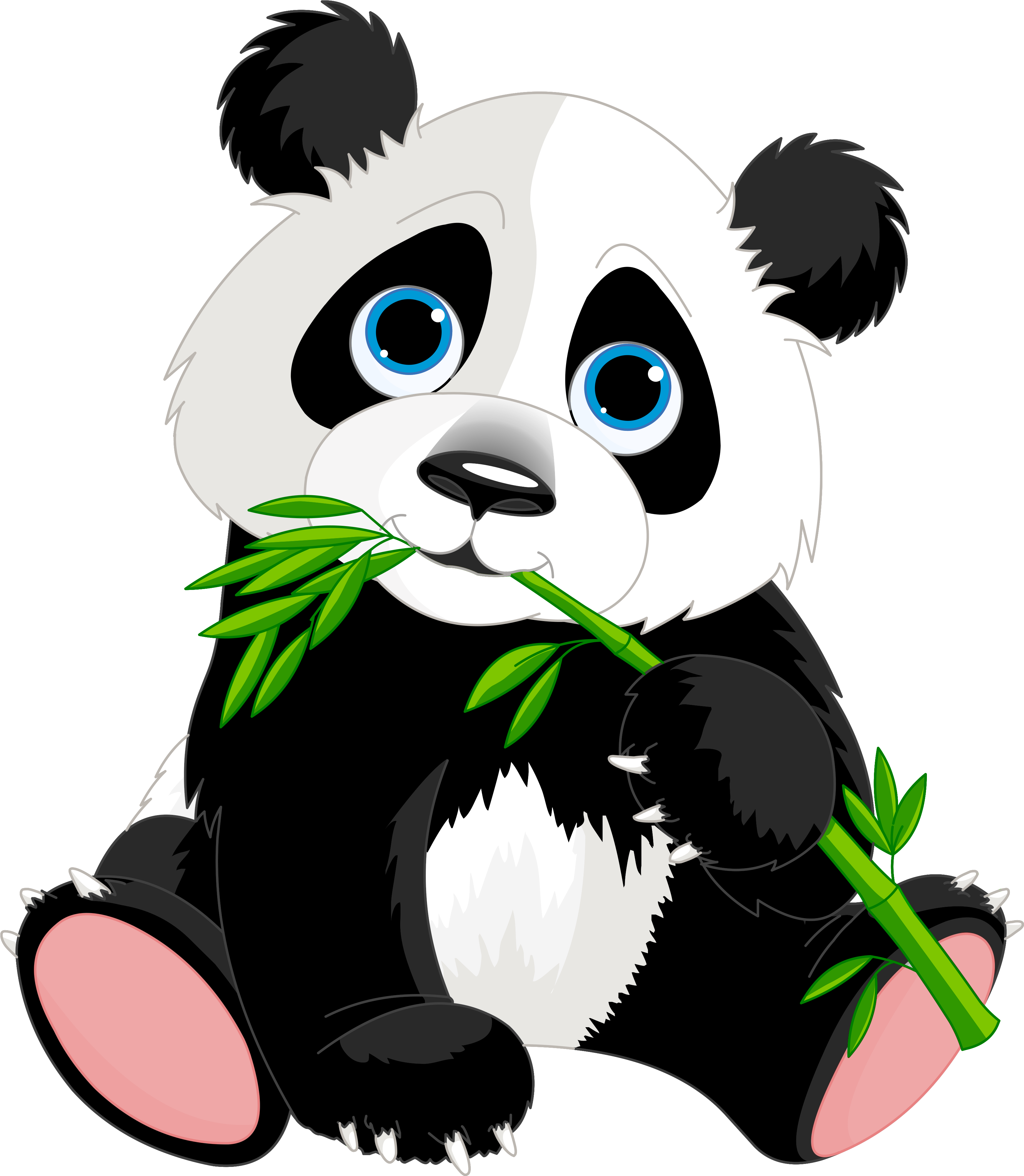 Cute Cartoon Png Image - Panda Clipart Transparent Png (522x600), Png Download