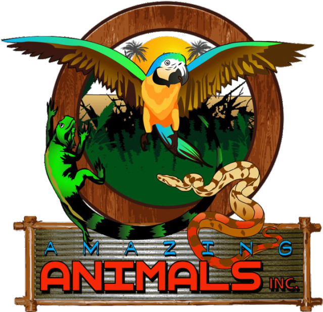 Meet Our Animal Ambassadors - Illustration Clipart (640x625), Png Download