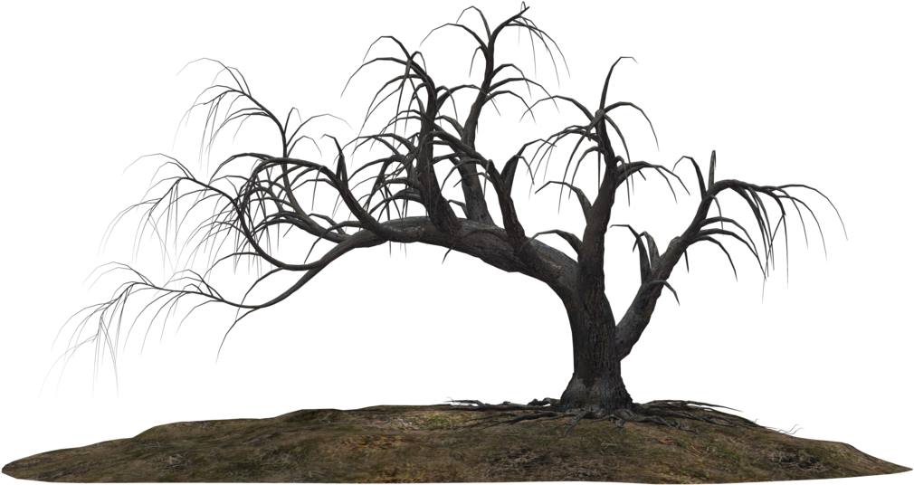 Dead Tree Clipart Scarey - Creepy Tree Png Transparent Png (1024x639), Png Download