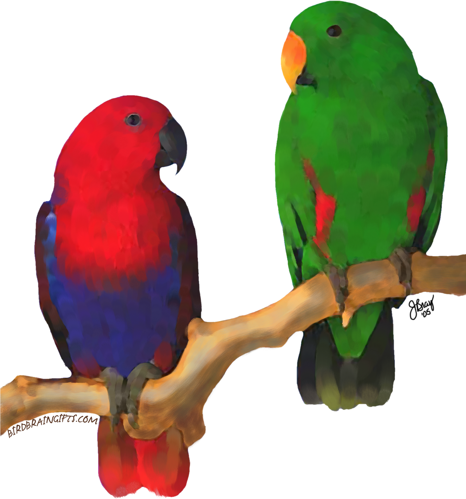 Eclectus Pair, Digital Oil Bird Perch, Parrot Toys, Clipart (1607x1721), Png Download