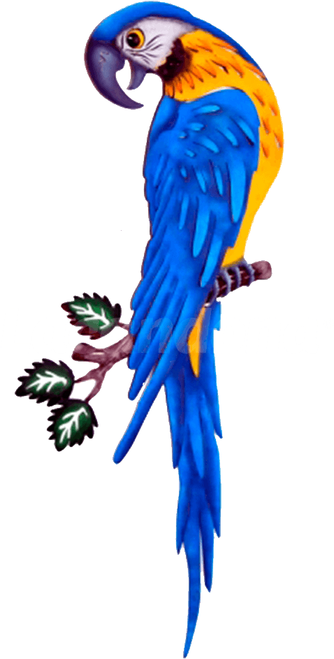 Dcorative Blue Macaw Clipart (478x943), Png Download