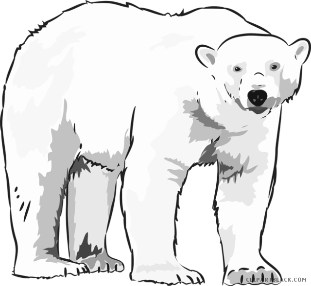 Graphic Free Library Black And White - Arctic Polar Bear Clipart - Png Download (640x588), Png Download
