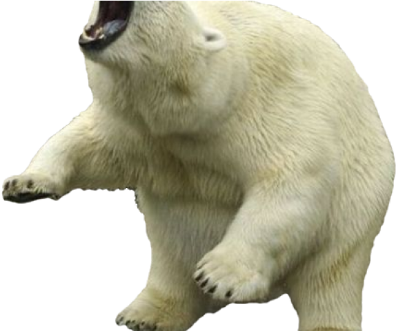 Portable Network Graphics Clipart (640x480), Png Download