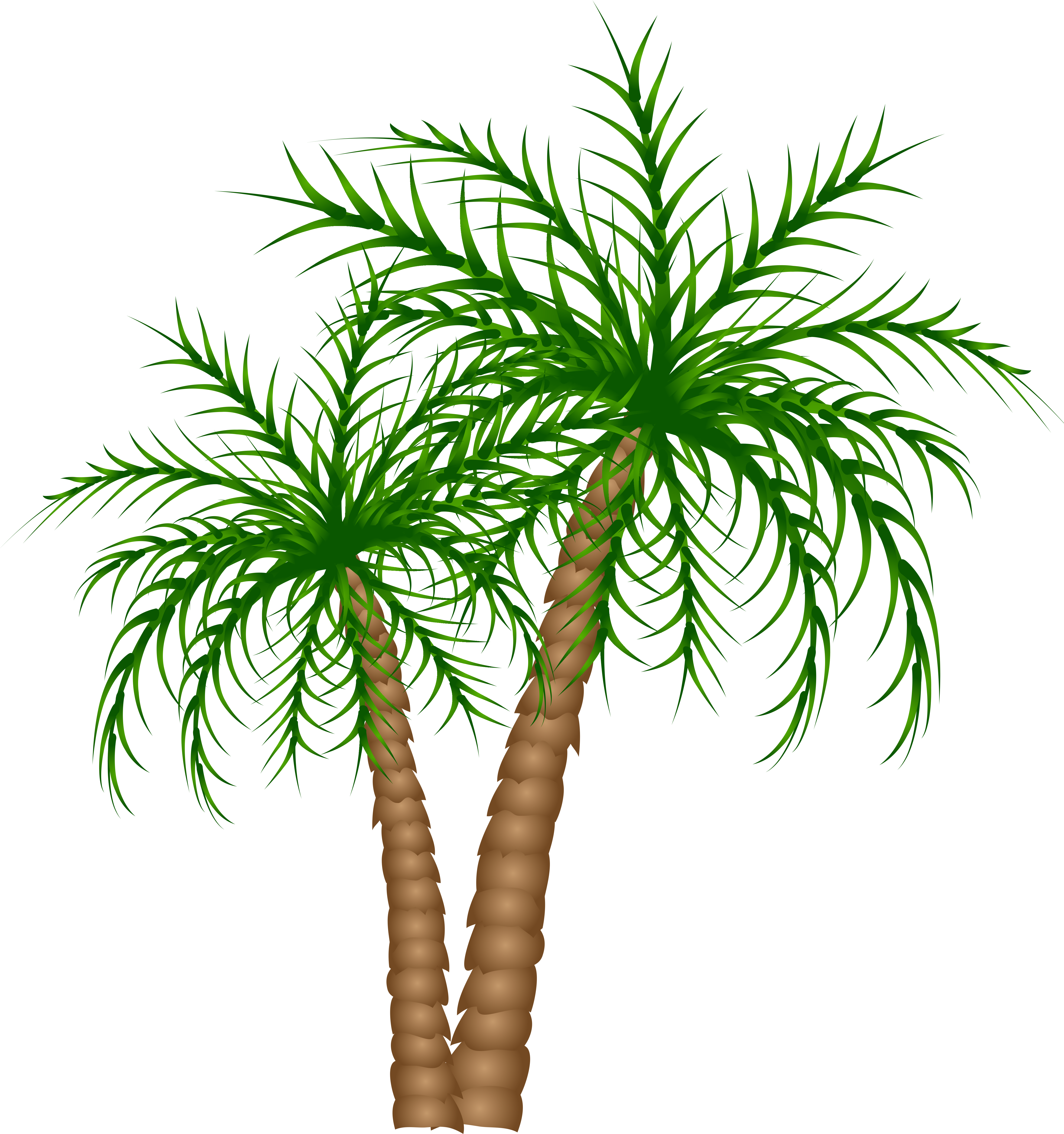 Palm Trees Png Clipart Picture - Palm Tree Clipart Transparent Background (4991x5563), Png Download