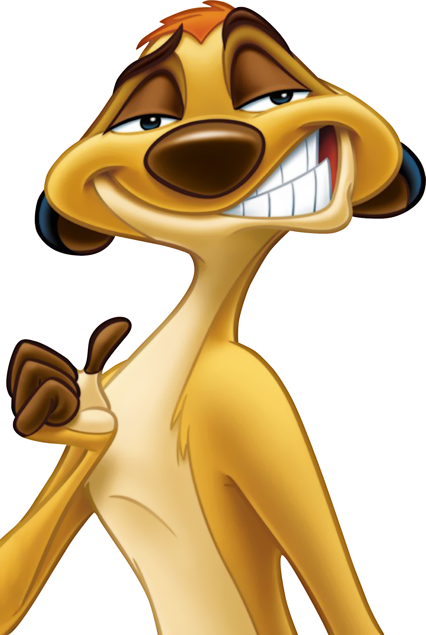 Timon Lion King Png Clipart (1470x2190), Png Download