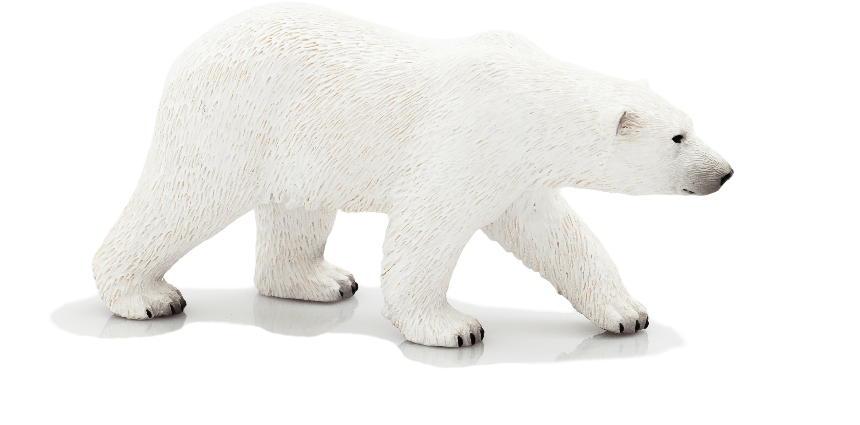 Polar Bear Clipart (2980x1987), Png Download