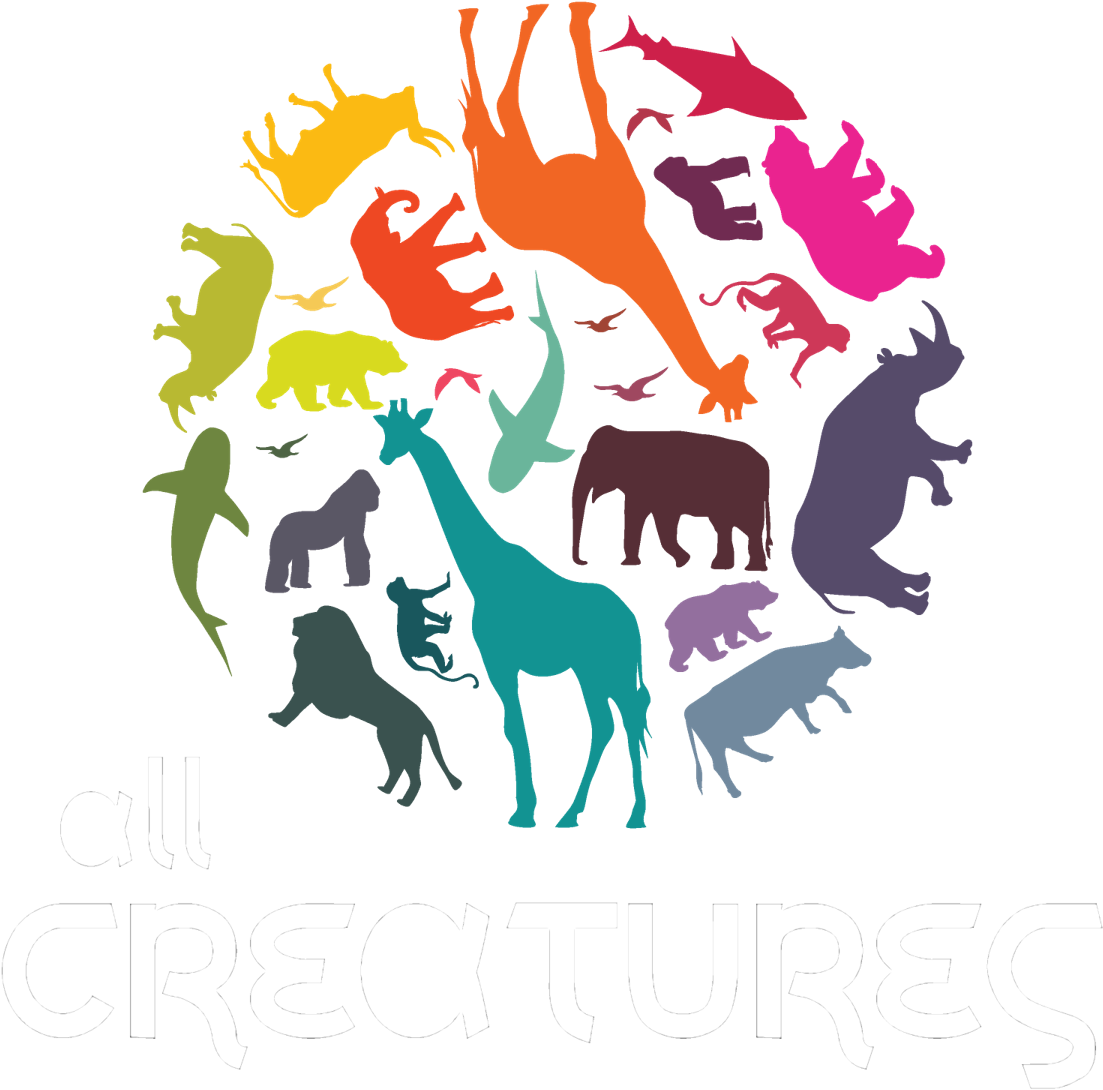 Download Polar Bear Clipart Hq Png Image , Png Download - Africa Animal Transparent Png (1103x1090), Png Download