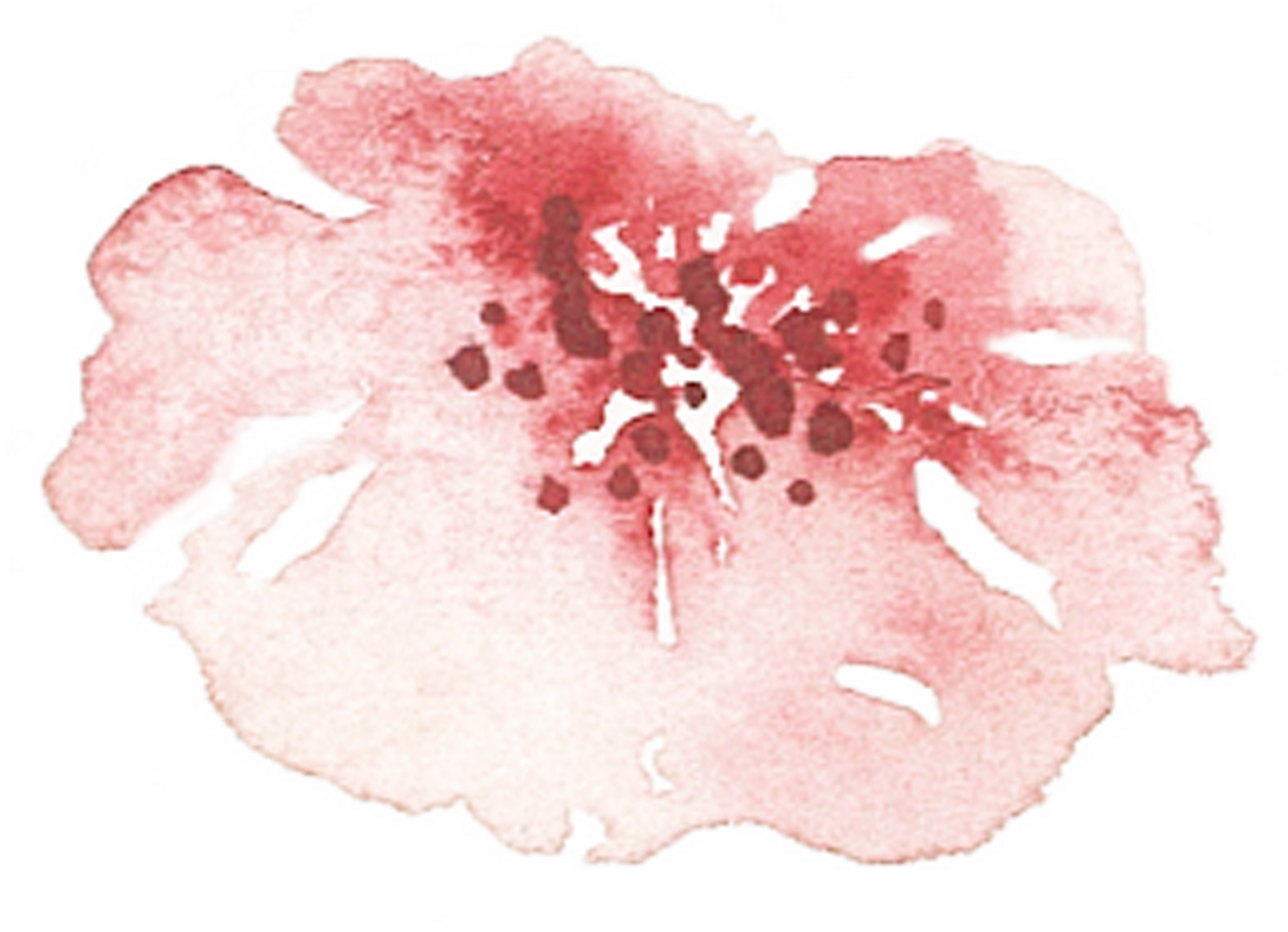 Of A Friends Wedding In The Summer Of Clipart (1445x1046), Png Download