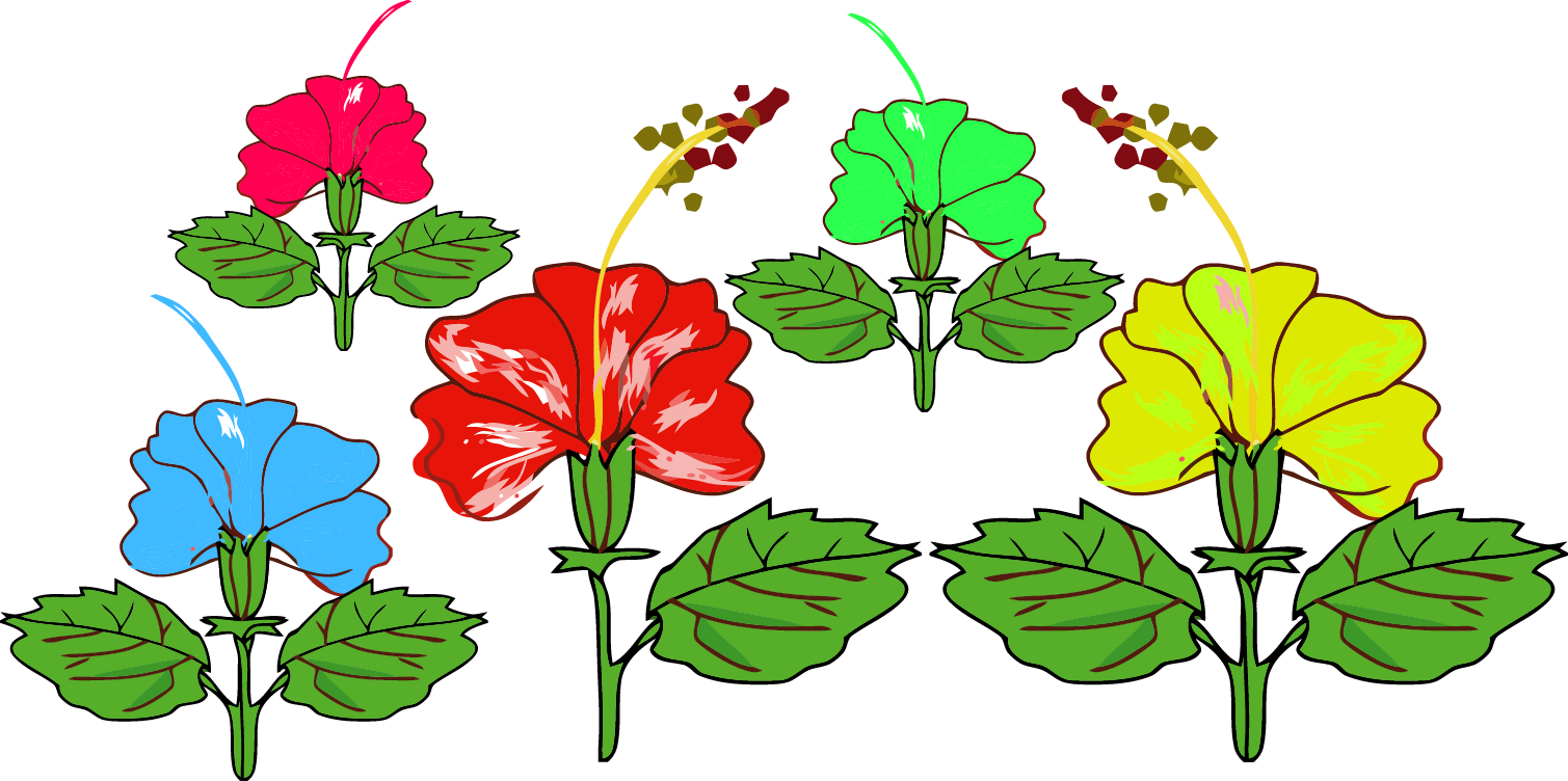 Hibiscus Red Flower Png - Chinese Hibiscus Clipart (1509x752), Png Download
