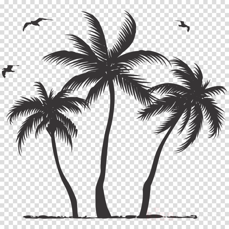 Download Palm Tree Silhouette Clipart Palm Trees Clip - Transparent Png Palm Tree Silhouette (900x900), Png Download