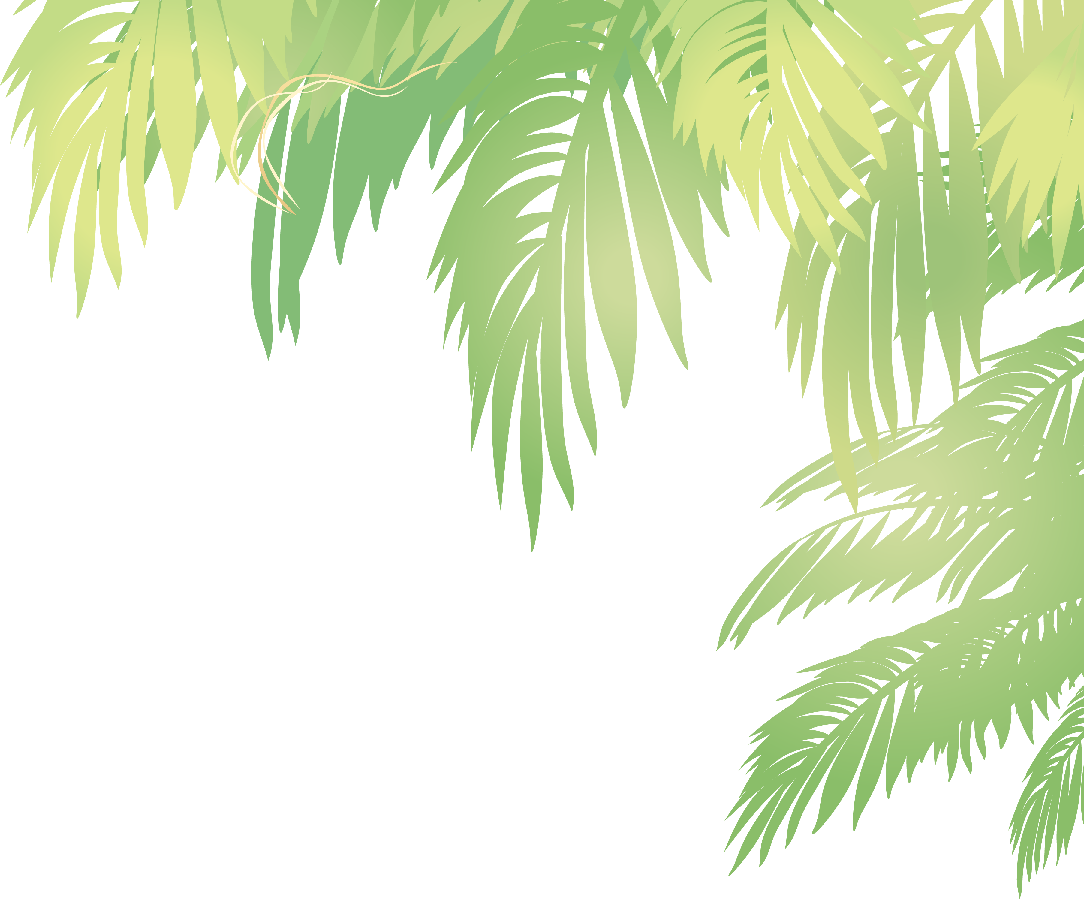 3612 X 2995 20 - Palm Leaves Png Vector Clipart (3612x2995), Png Download
