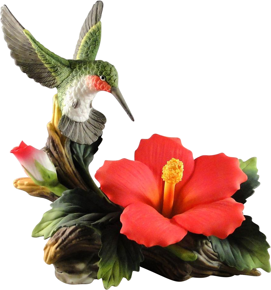 Hibiscus Flower With Hummingbird Clipart (945x945), Png Download
