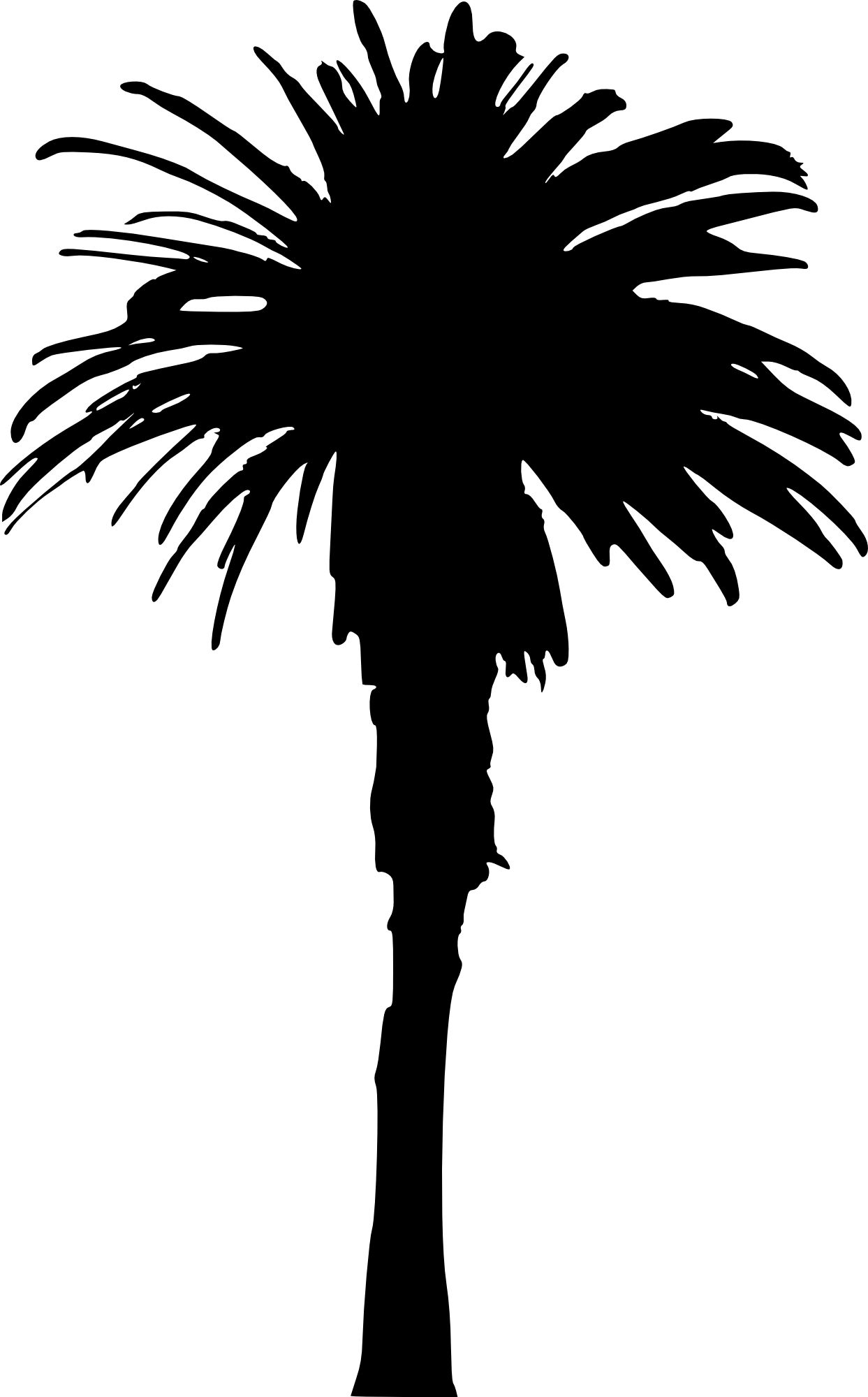 15 Palm Tree Silhouettes Png Transparent Background - Single Palm Tree Silhouette Clipart (1243x2000), Png Download