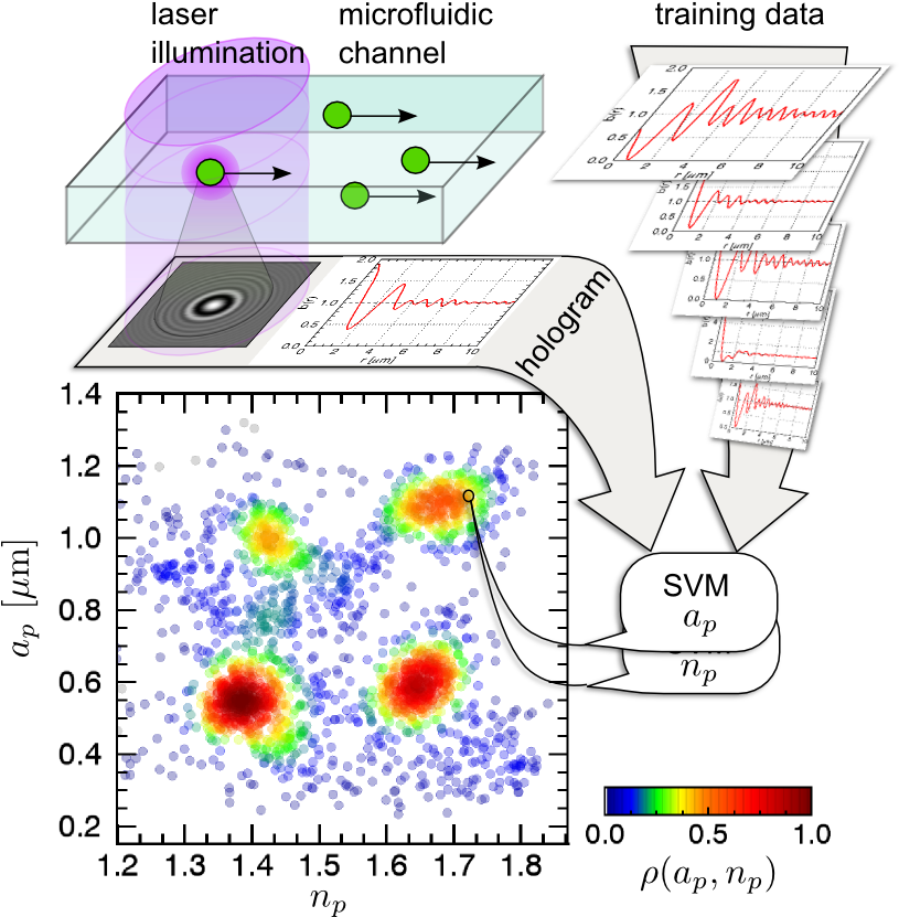 Colloidal Spheres Flowing Down A Microfluidic Sample - Hologram Deep Learning Clipart (833x836), Png Download