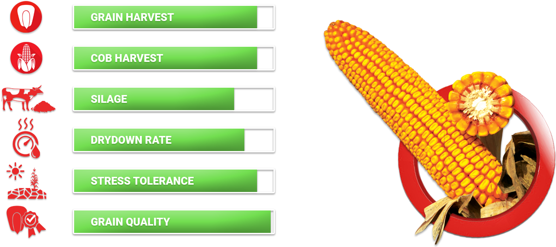 Titos Fao - Smile Clipart (1139x523), Png Download