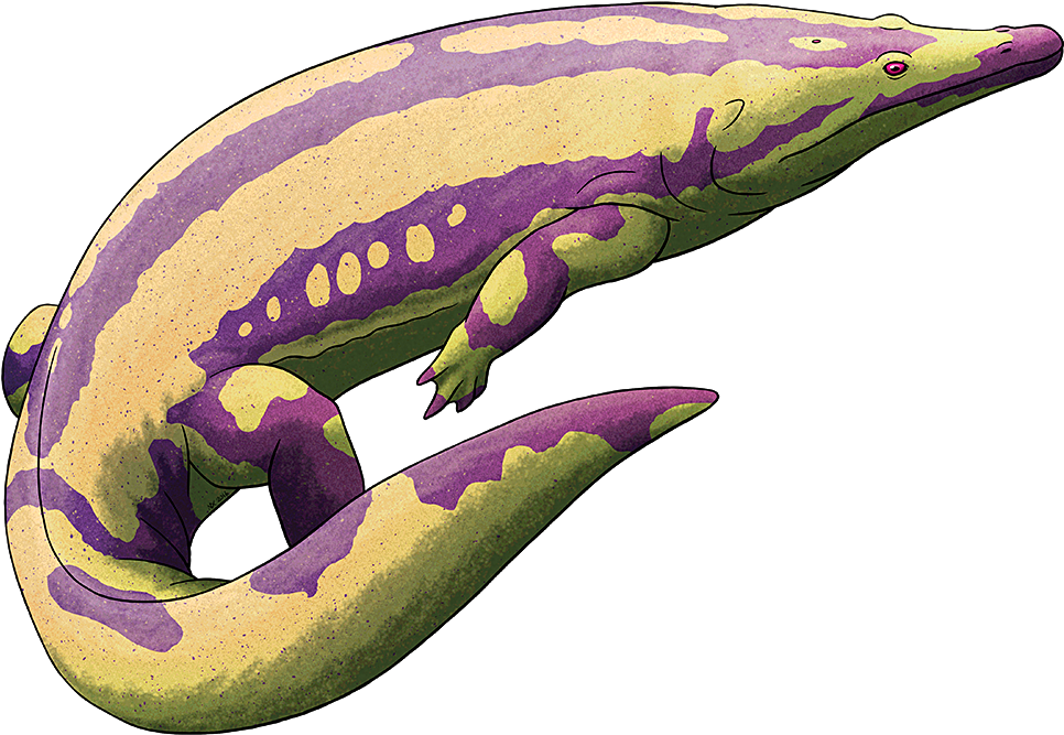 “ Amphibian August - Illustration Clipart (1000x705), Png Download