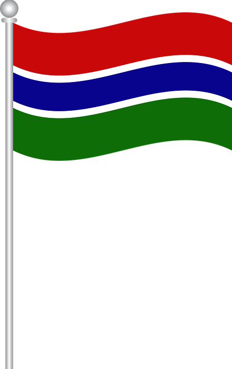 Flag Of Gambia, Flag, Gambia, World Flags - Gambia Flag Png Clipart (453x720), Png Download