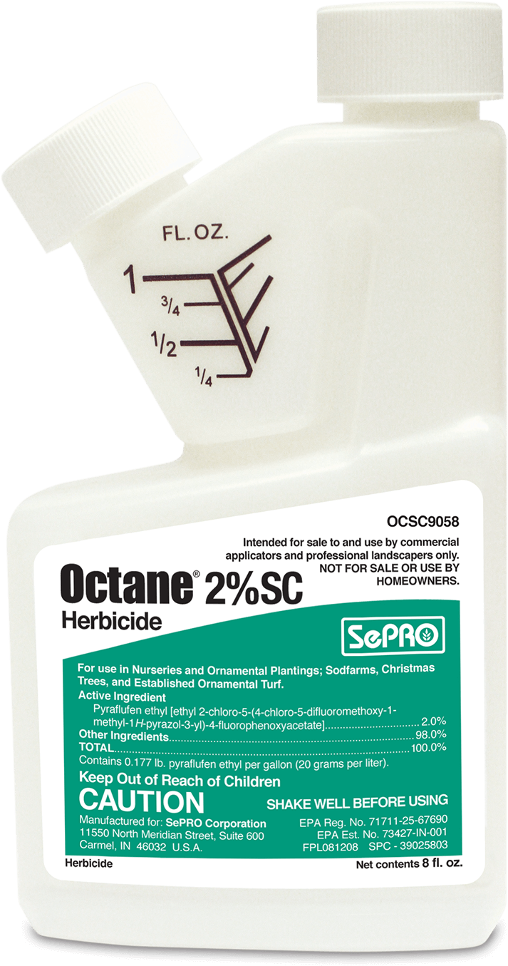 Label Clipart (797x1401), Png Download