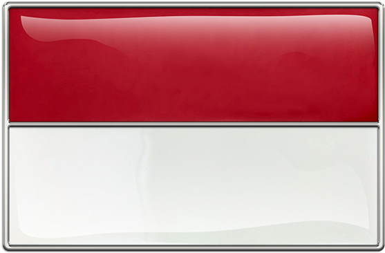 Poland Flag Buckle - Flag Clipart (556x556), Png Download