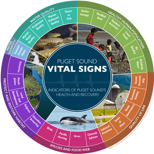 As Of 2016, The Puget Sound Vital Signs Wheel Shows - Puget Sound Ecosystem Clipart (592x595), Png Download