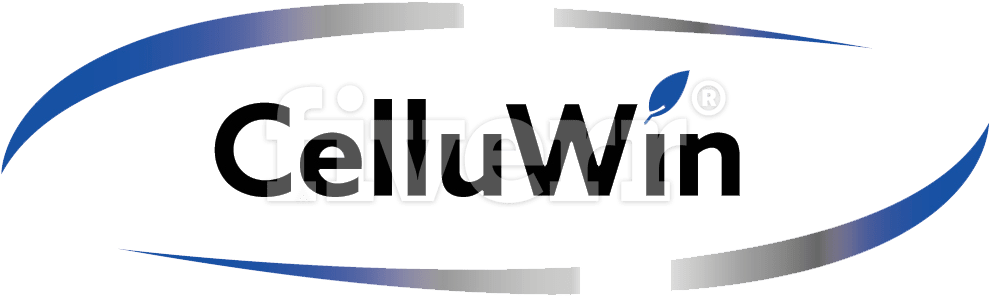 Big Worksample Image - Graphic Design Clipart (1000x310), Png Download