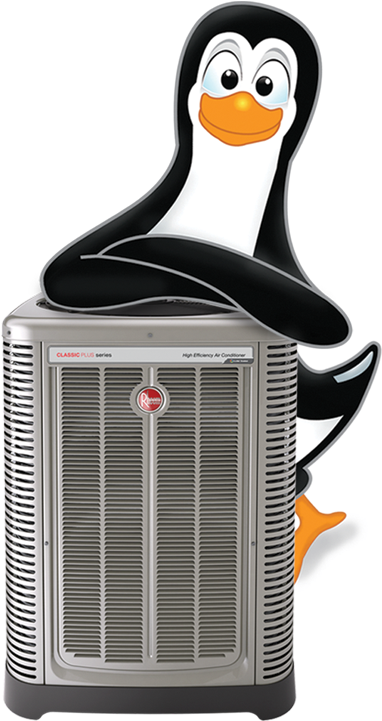 Penguin Clipart (800x800), Png Download