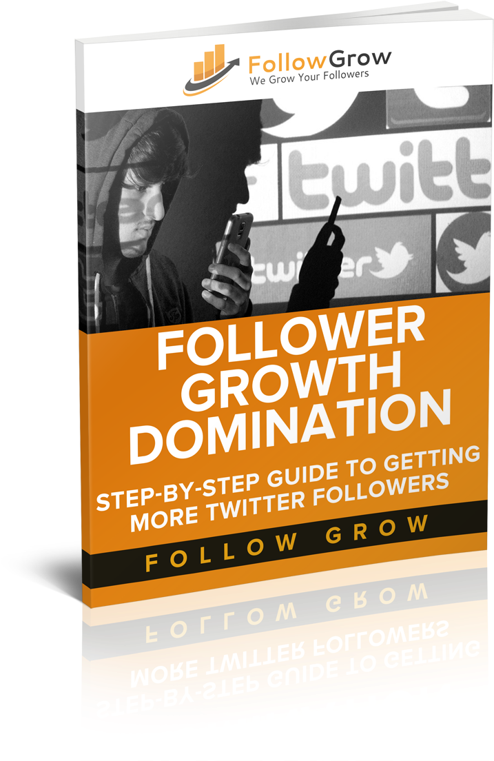 Grow Your Twitter Following And Dominate Twitter - Flyer Clipart (900x1185), Png Download