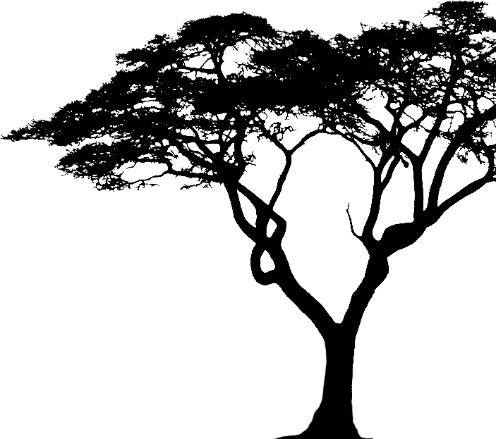 Tree 2d Black Png Clipart (703x623), Png Download