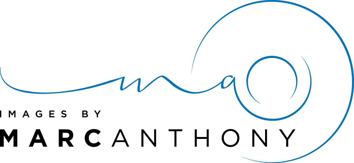 Circle Clipart (1457x672), Png Download