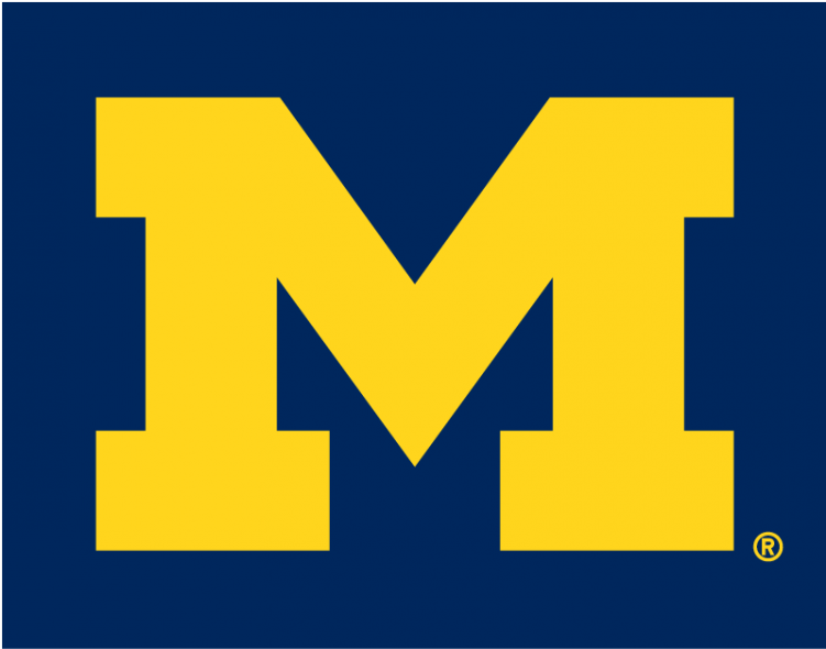 Michigan Wolverines Iron On Stickers And Peel-off Decals - Michigan Wolverines Football Clipart (750x930), Png Download