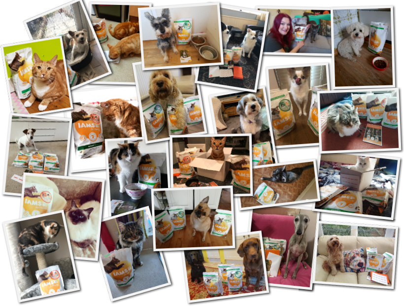 Our Team - Collage Clipart (820x620), Png Download