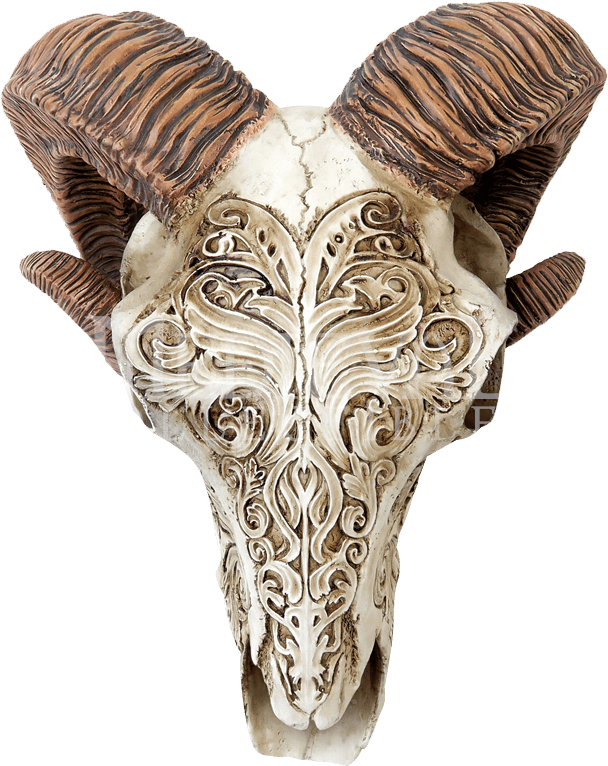 Scrimshaw Ram Skull , Png Download - Deer Skull Scrimshaw Clipart (608x766), Png Download